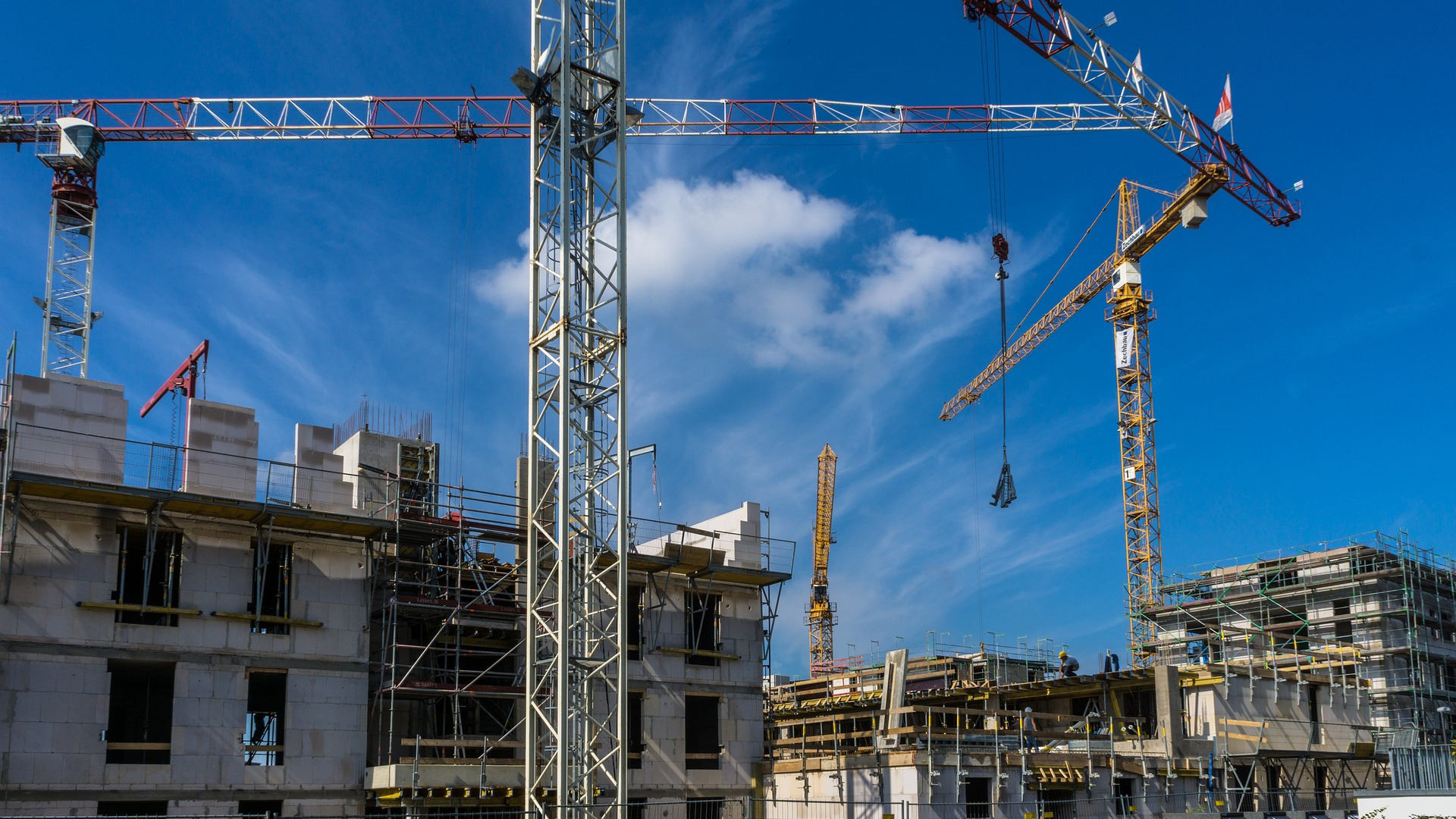 A python on a branch