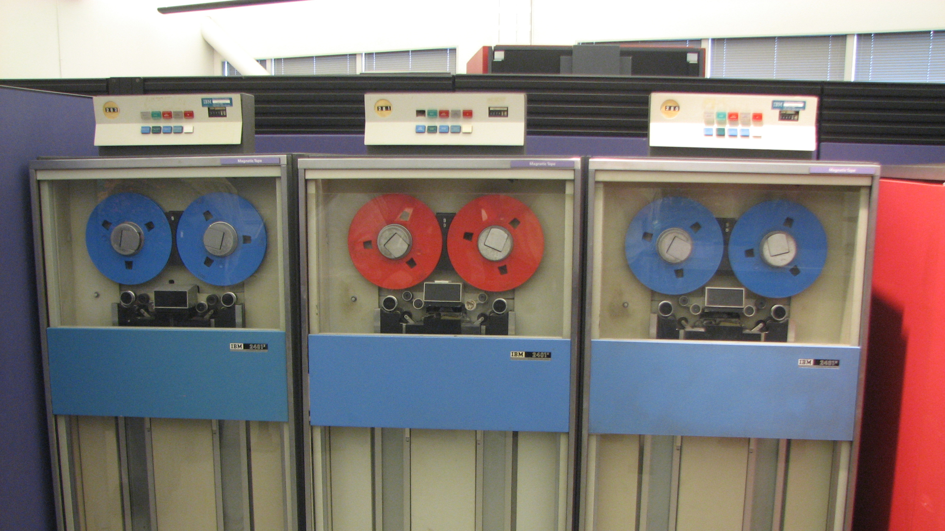 A python on a branch