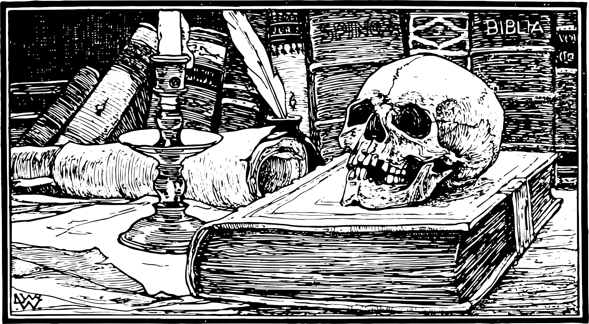a skull on a book